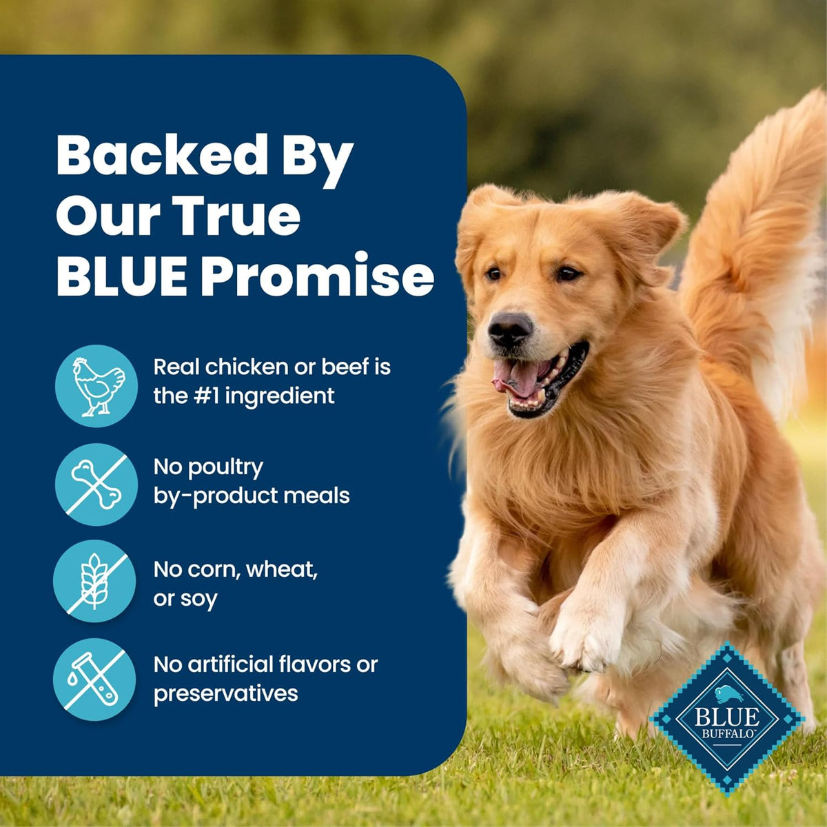 Blue Buffalo Chicken & Beef Wet Dog Food Variety 12.5 oz 6 Pack