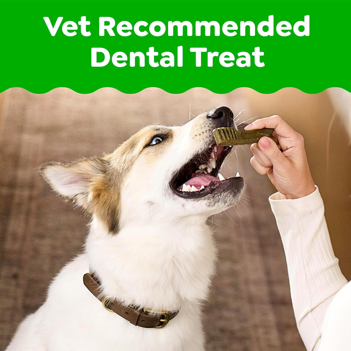 Greenies Original Natural Dental Chews for Large Dog Treats 36 oz 24 Count