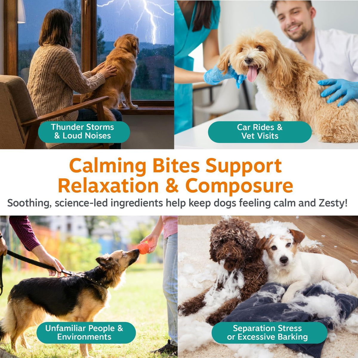 Zesty Paws Calming Chews for Dogs 90 Count Stress & Anxiety Relief
