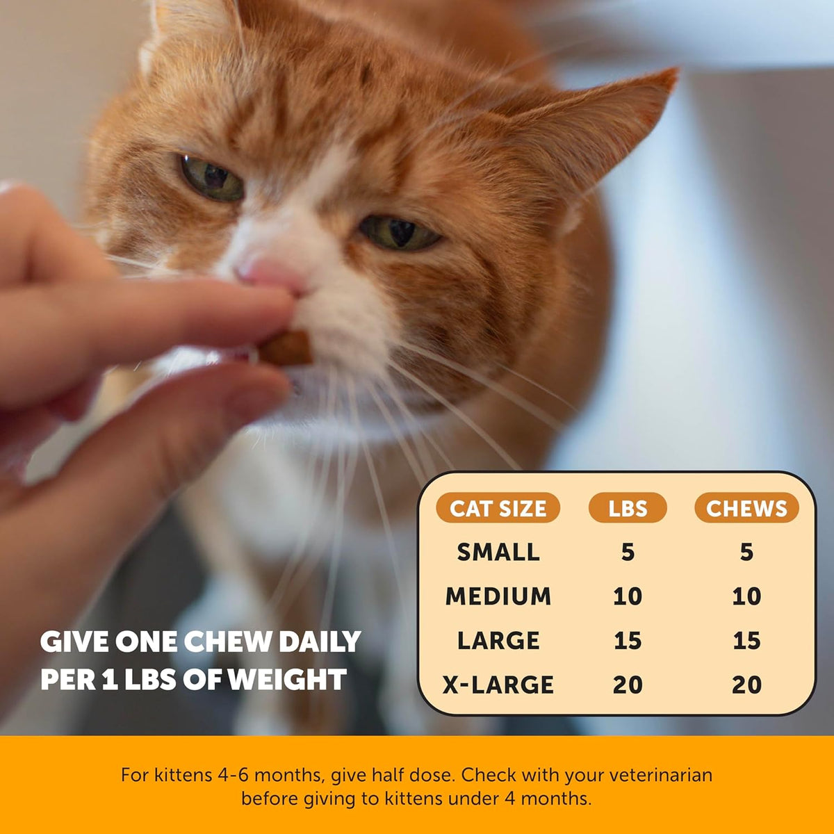 Pet Honesty Cat Immune Support Lysine Chews – Allergy Relief & Immune Health