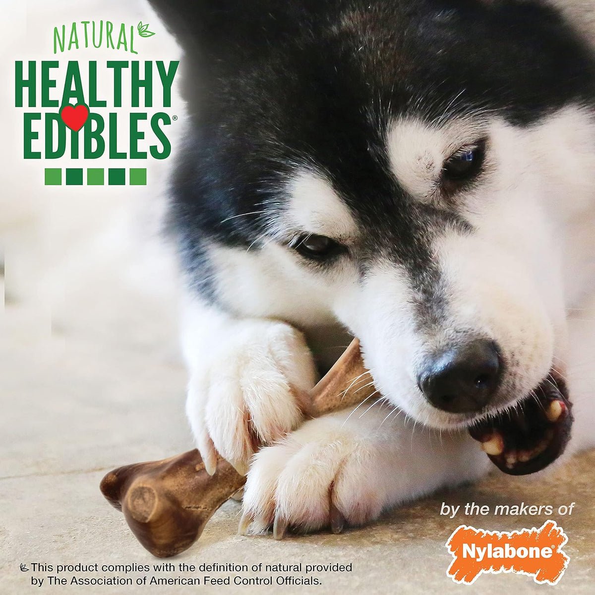 Nylabone Healthy Edibles Wild Bison Natural Dog Treats Large 1 Count