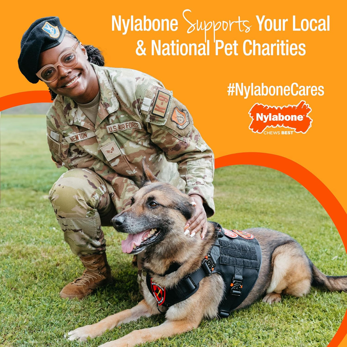 Nylabone Healthy Edibles Wild Bison Natural Dog Treats Large 1 Count