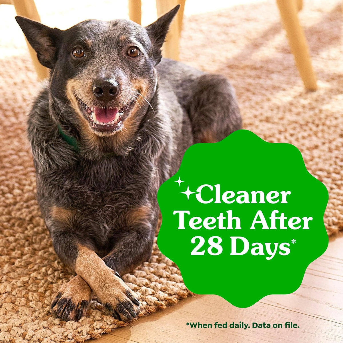 GREENIES Original Dental Treats 12oz for Extra Small Dogs 5–15 lbs