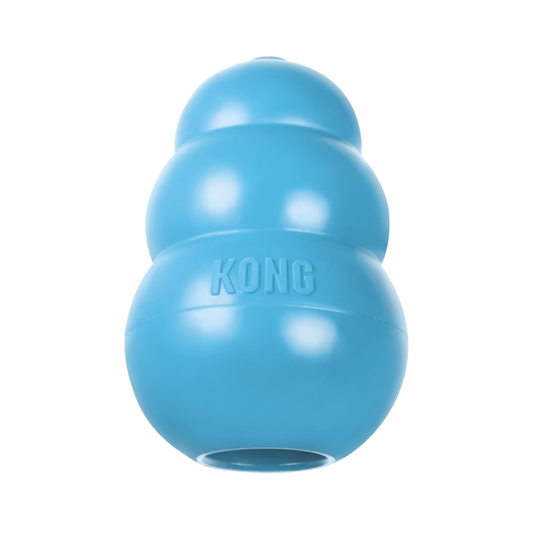 KONG Gentle Natural Rubber Teething "Toy Blue For Small Dog"