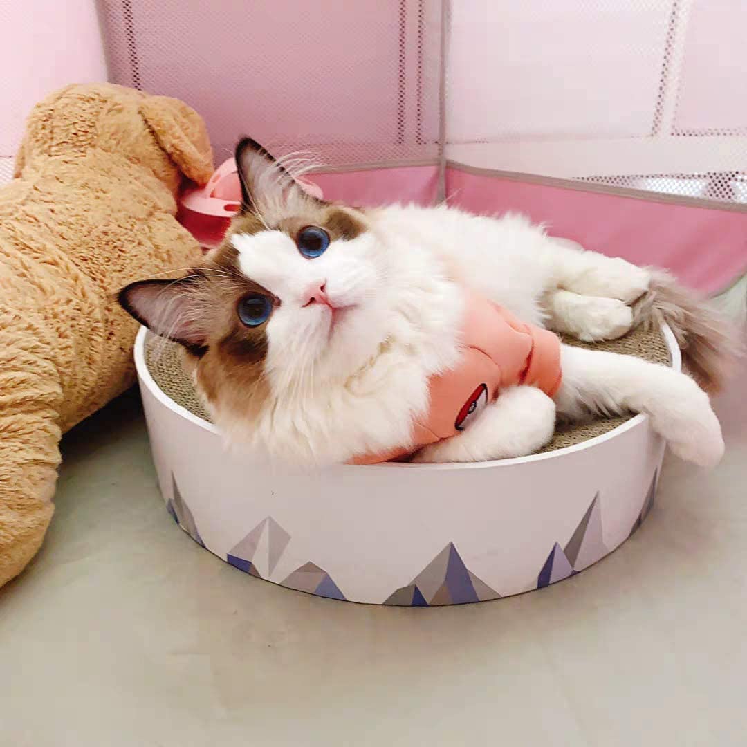 2in1 Round Cat Scratching Pad & Lounge Durable Cardboard Cat Scratcher Bed