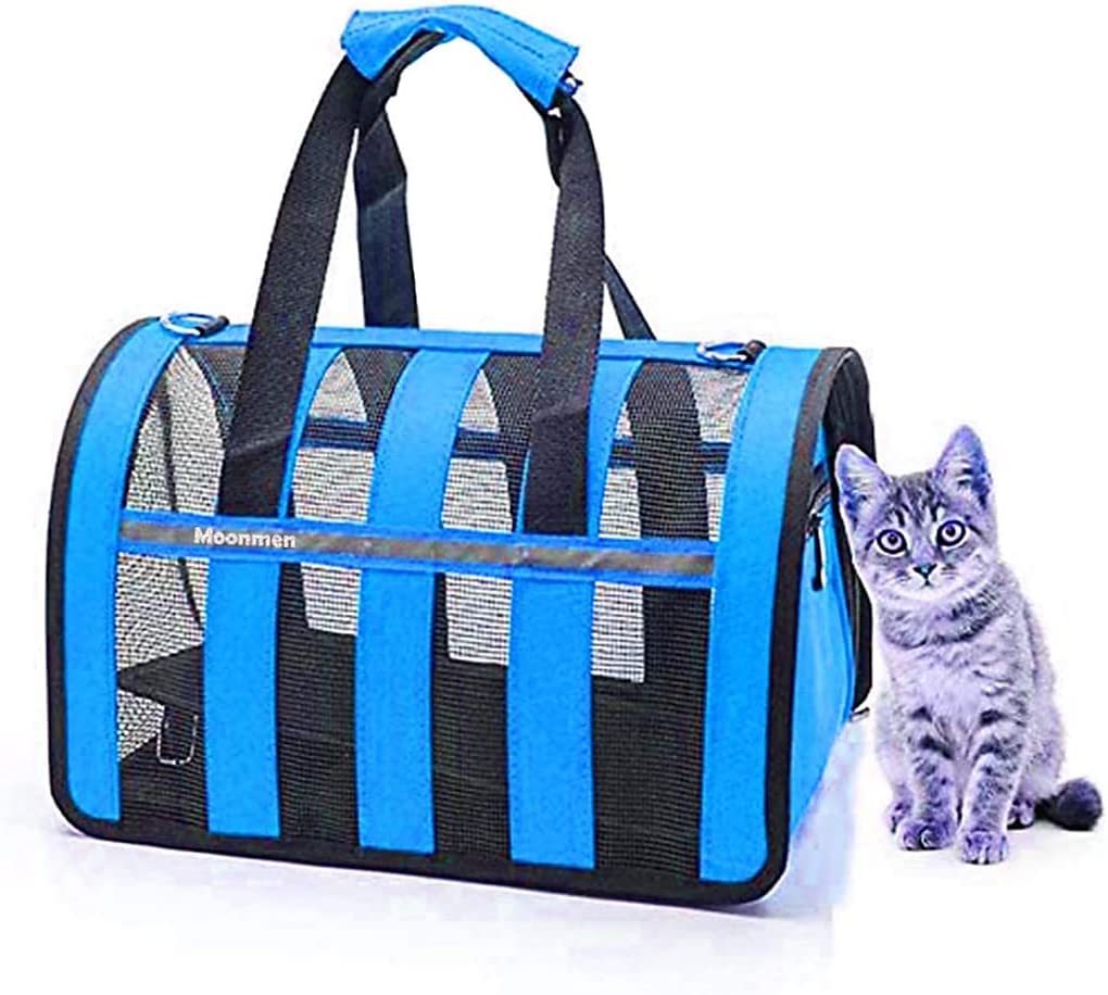 Airline Approved Pet Carrier Bag for Cats & Small Dogs UAE