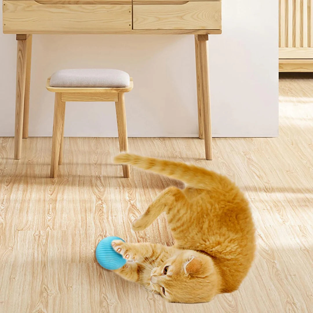 360° Rotating Interactive Cat Toy Ball with LED Lights